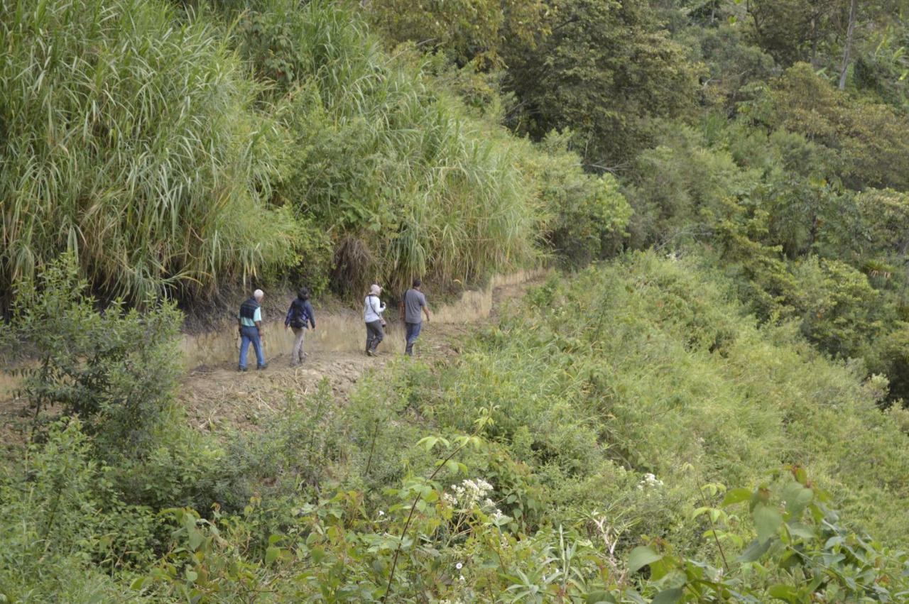 Sonarte Reserva Natural Cordoba  Eksteriør billede