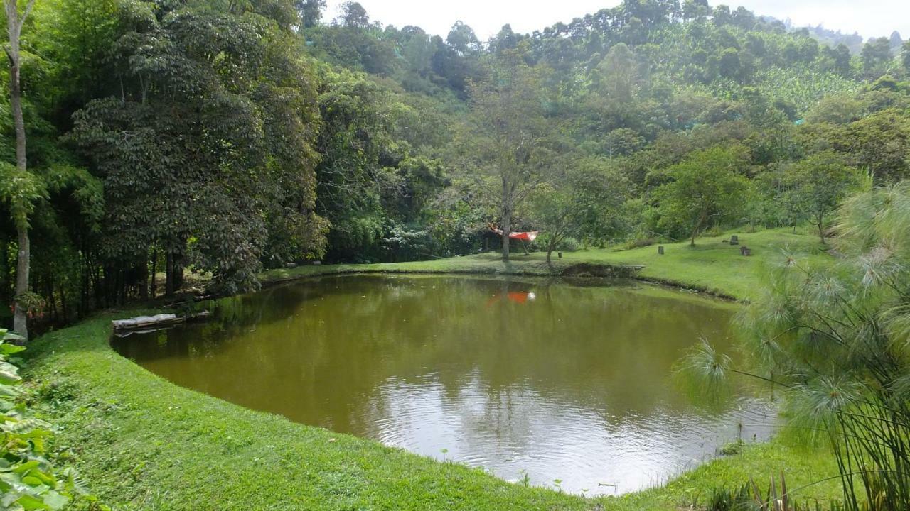 Sonarte Reserva Natural Cordoba  Eksteriør billede