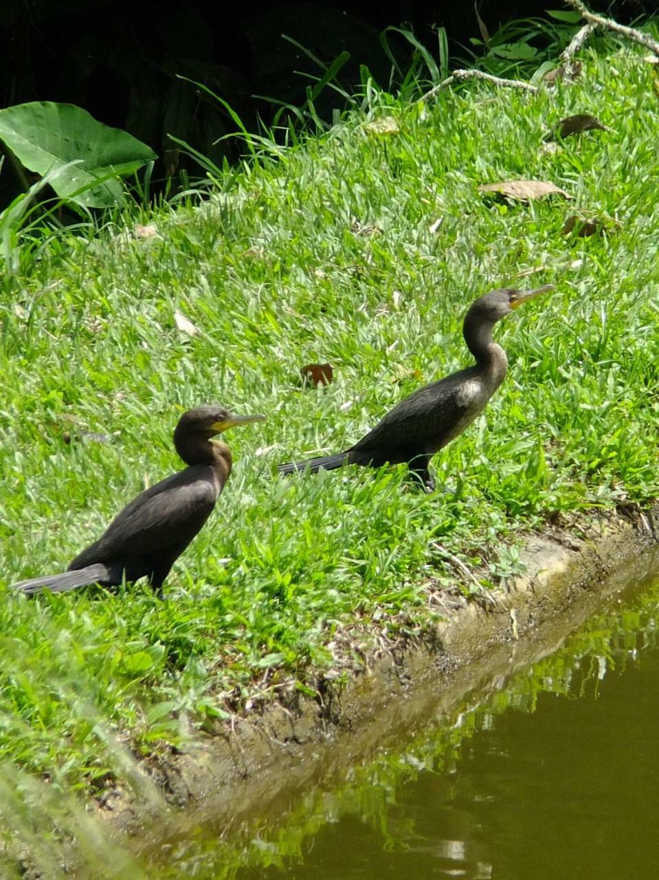 Sonarte Reserva Natural Cordoba  Eksteriør billede