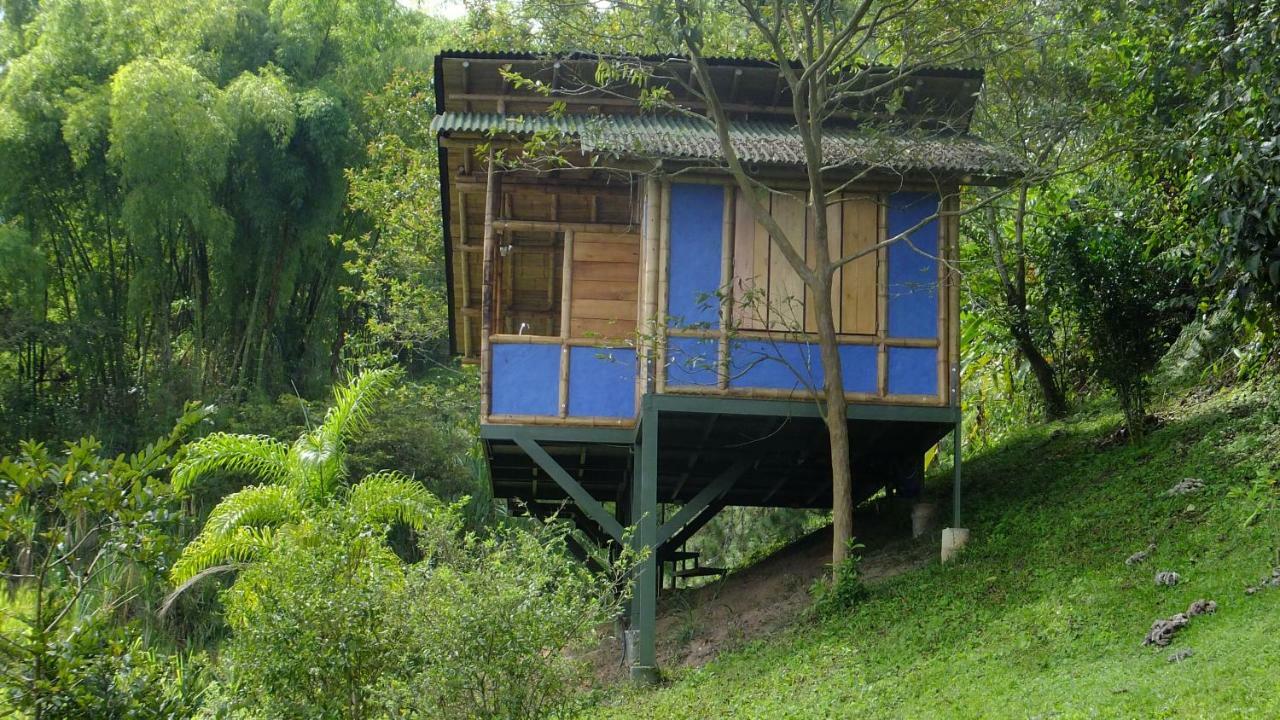 Sonarte Reserva Natural Cordoba  Eksteriør billede