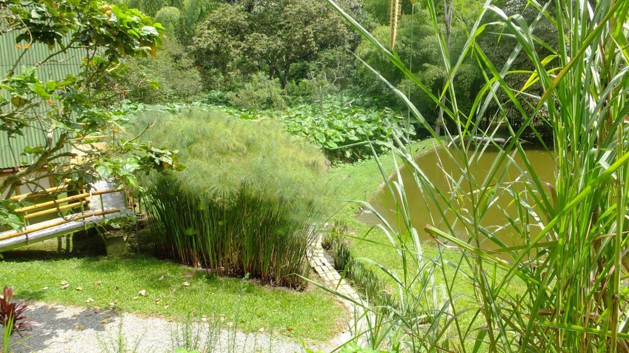Sonarte Reserva Natural Cordoba  Eksteriør billede
